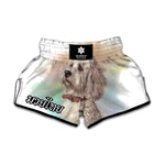 Poodle Portrait Print Muay Thai Boxing Shorts