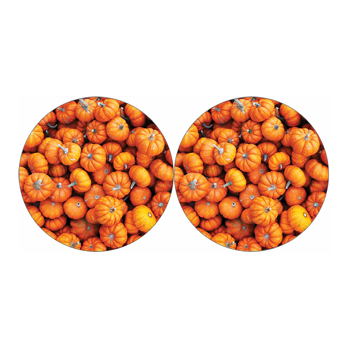 Pumpkin Print Car Coasters