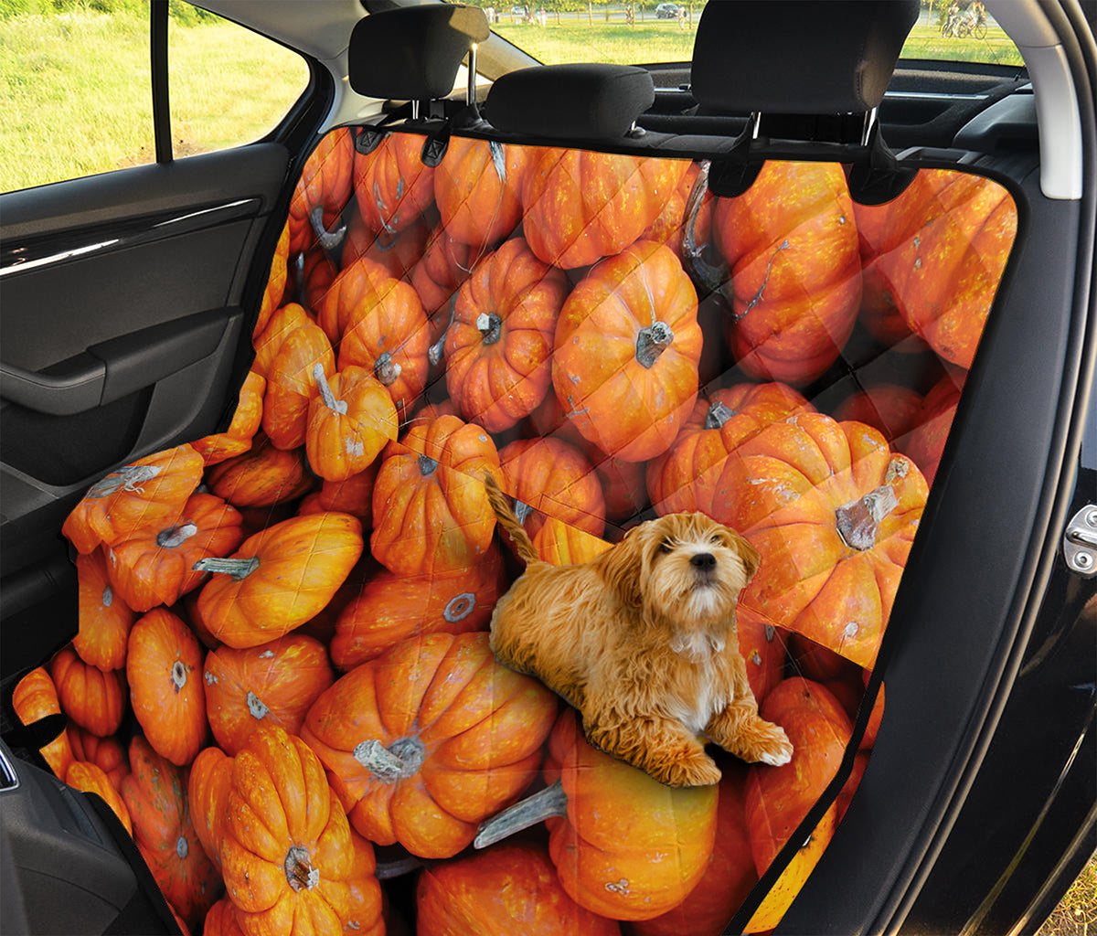 Pumpkin Print Pet Car Back Seat Cover