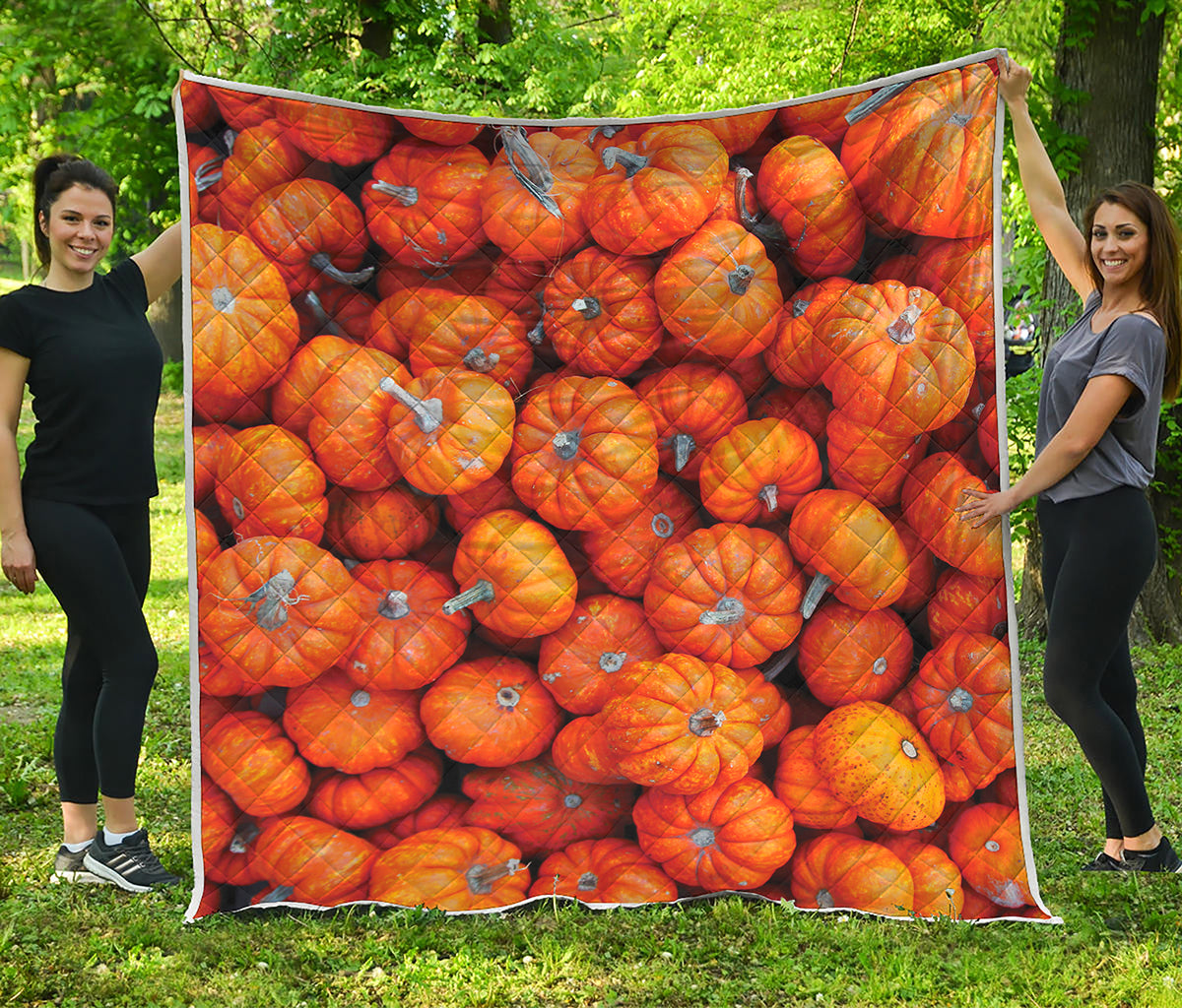 Pumpkin Print Quilt