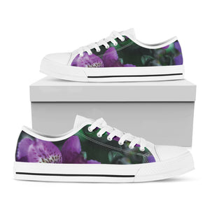 Purple Alstroemeria Print White Low Top Shoes