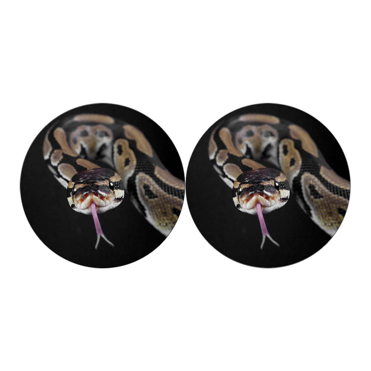 Python Snake Print Car Coasters