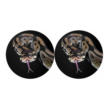 Python Snake Print Car Coasters