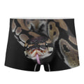 Python Snake Print Men's Boxer Briefs