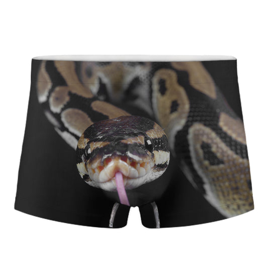 Python Snake Print Men's Boxer Briefs