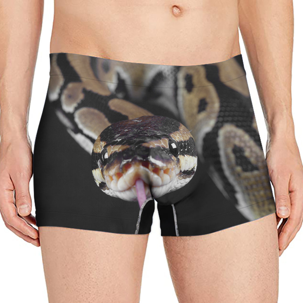 Python Snake Print Men's Boxer Briefs