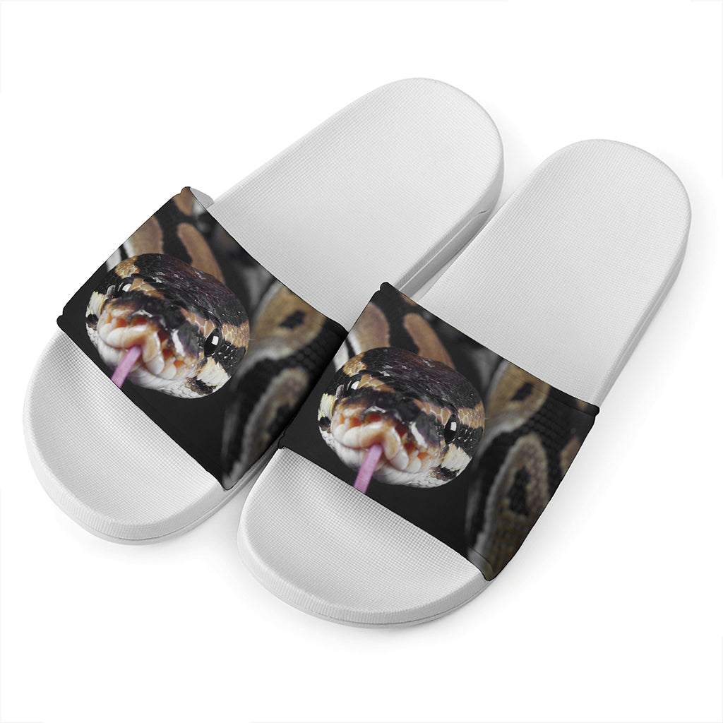 Python Snake Print White Slide Sandals