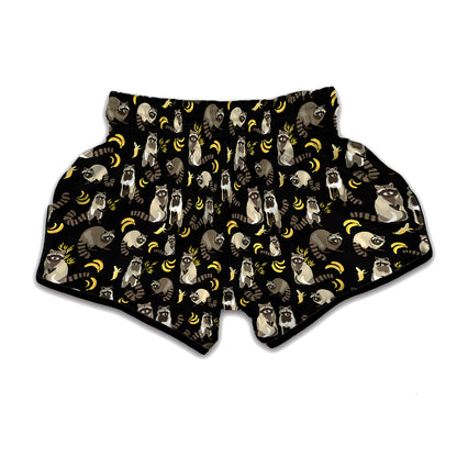 Raccoon And Banana Pattern Print Muay Thai Boxing Shorts