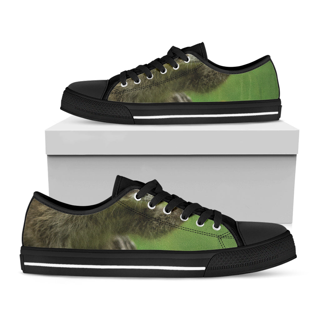 Raccoon And Flower Print Black Low Top Shoes