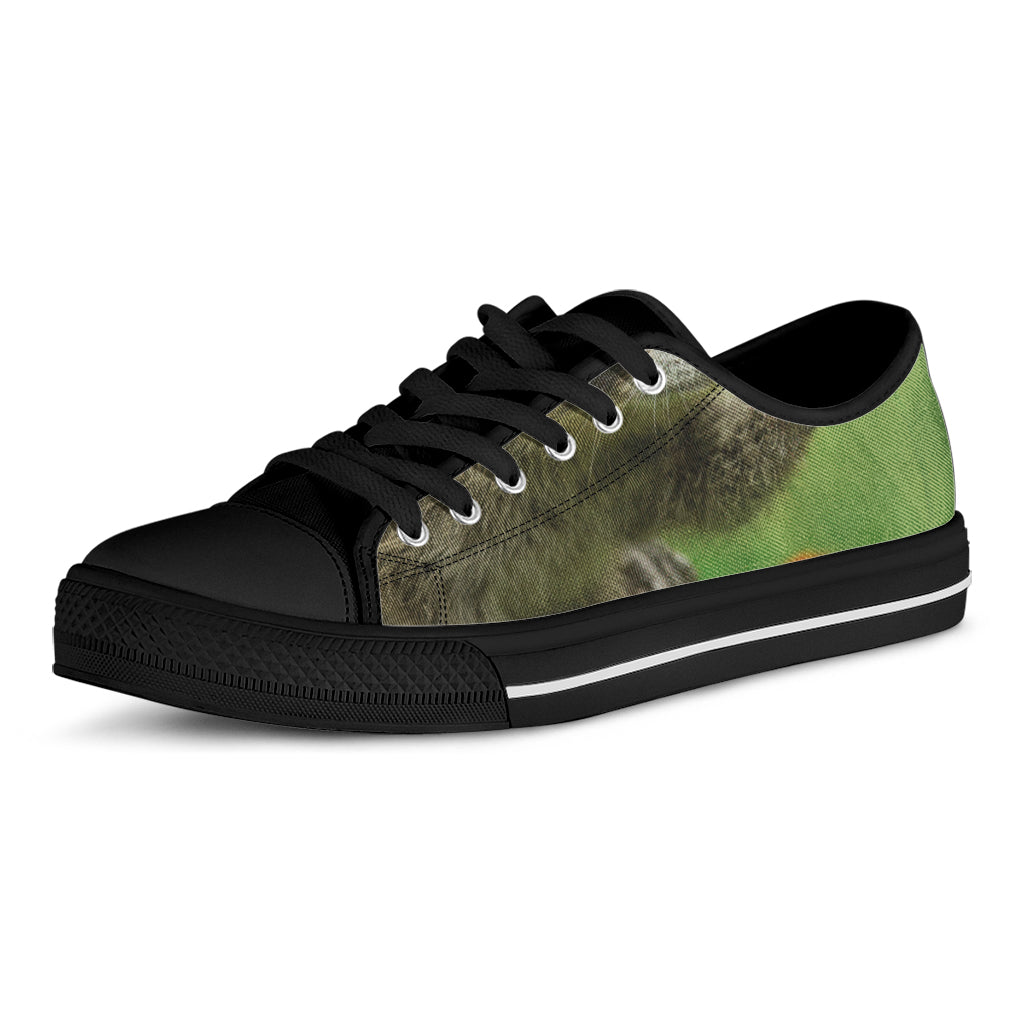 Raccoon And Flower Print Black Low Top Shoes