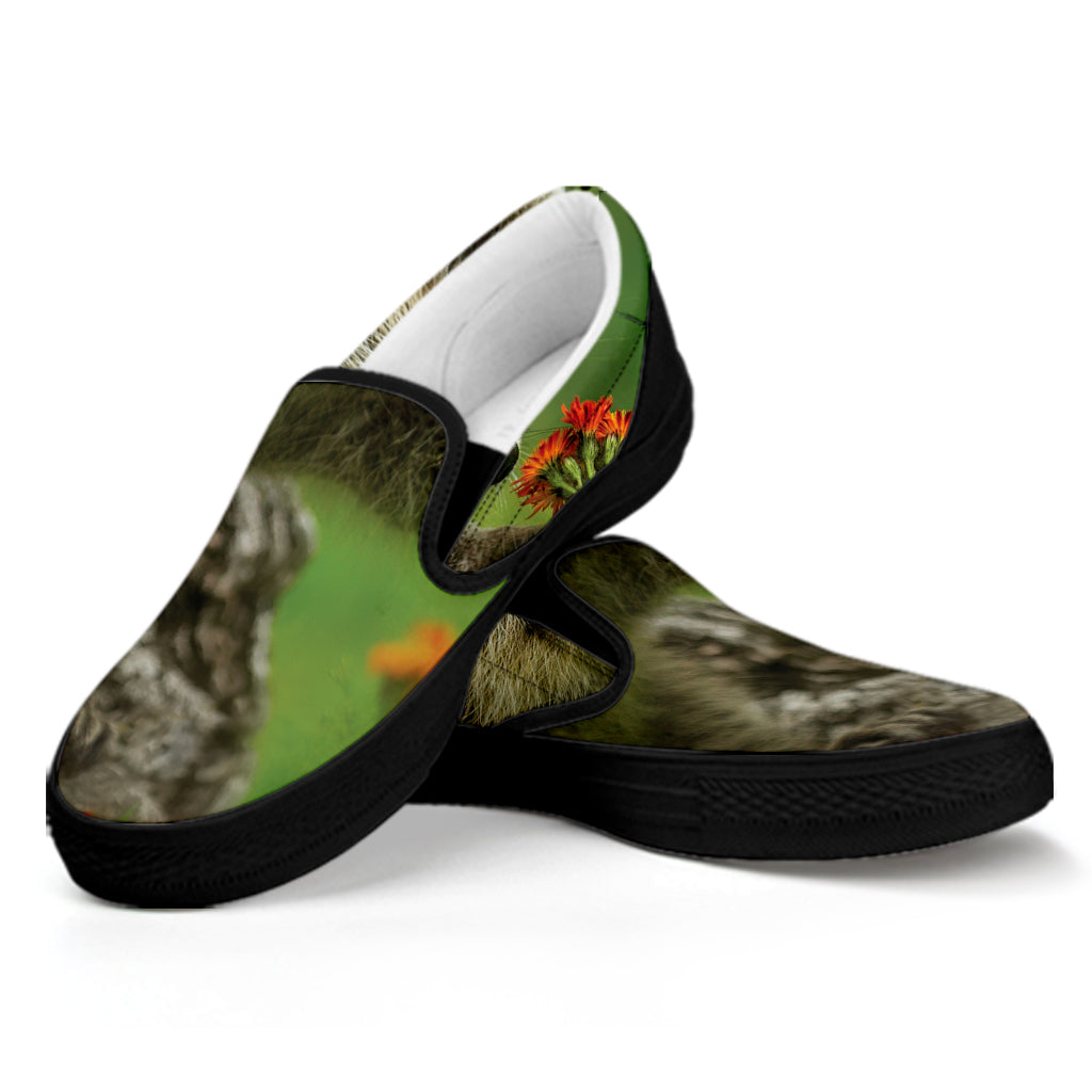 Raccoon And Flower Print Black Slip On Shoes