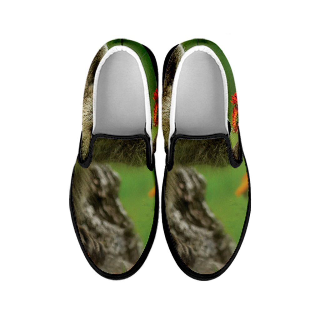 Raccoon And Flower Print Black Slip On Shoes