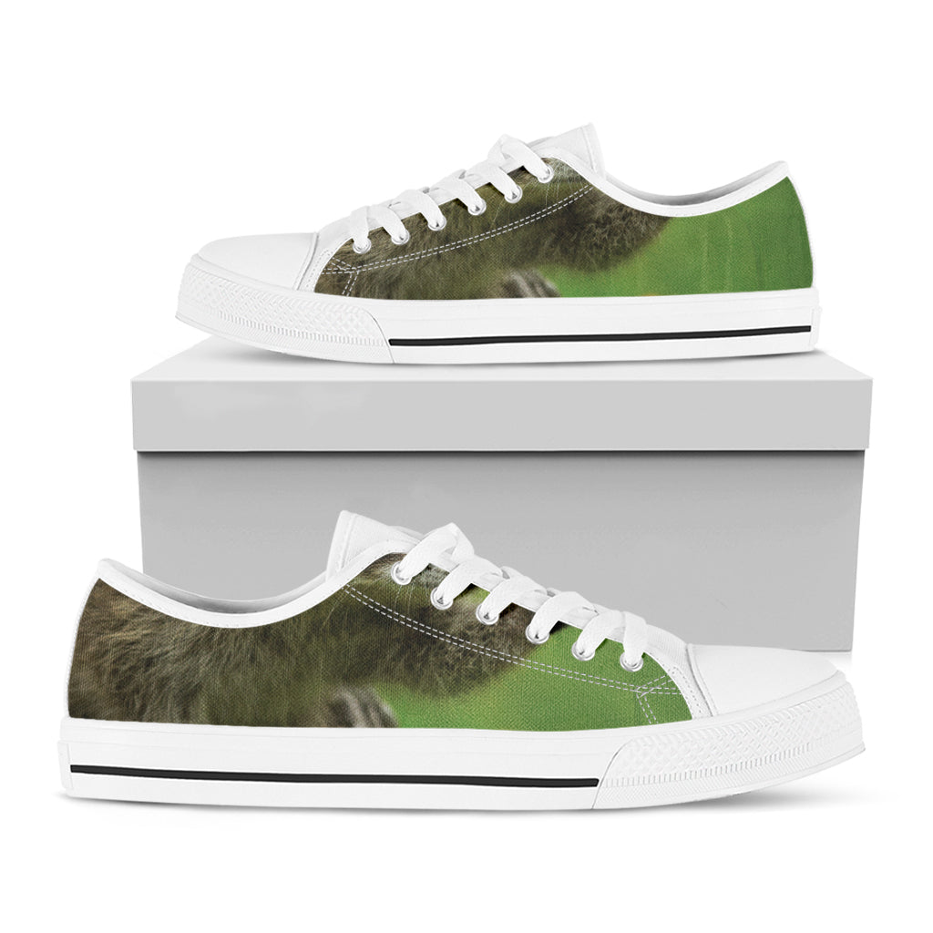 Raccoon And Flower Print White Low Top Shoes