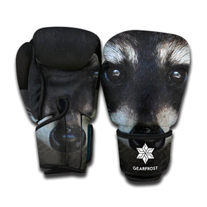 Raccoon Portrait Print Boxing Gloves
