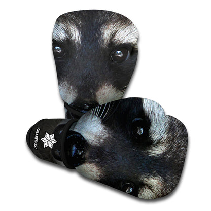 Raccoon Portrait Print Boxing Gloves
