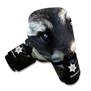 Raccoon Portrait Print Boxing Gloves