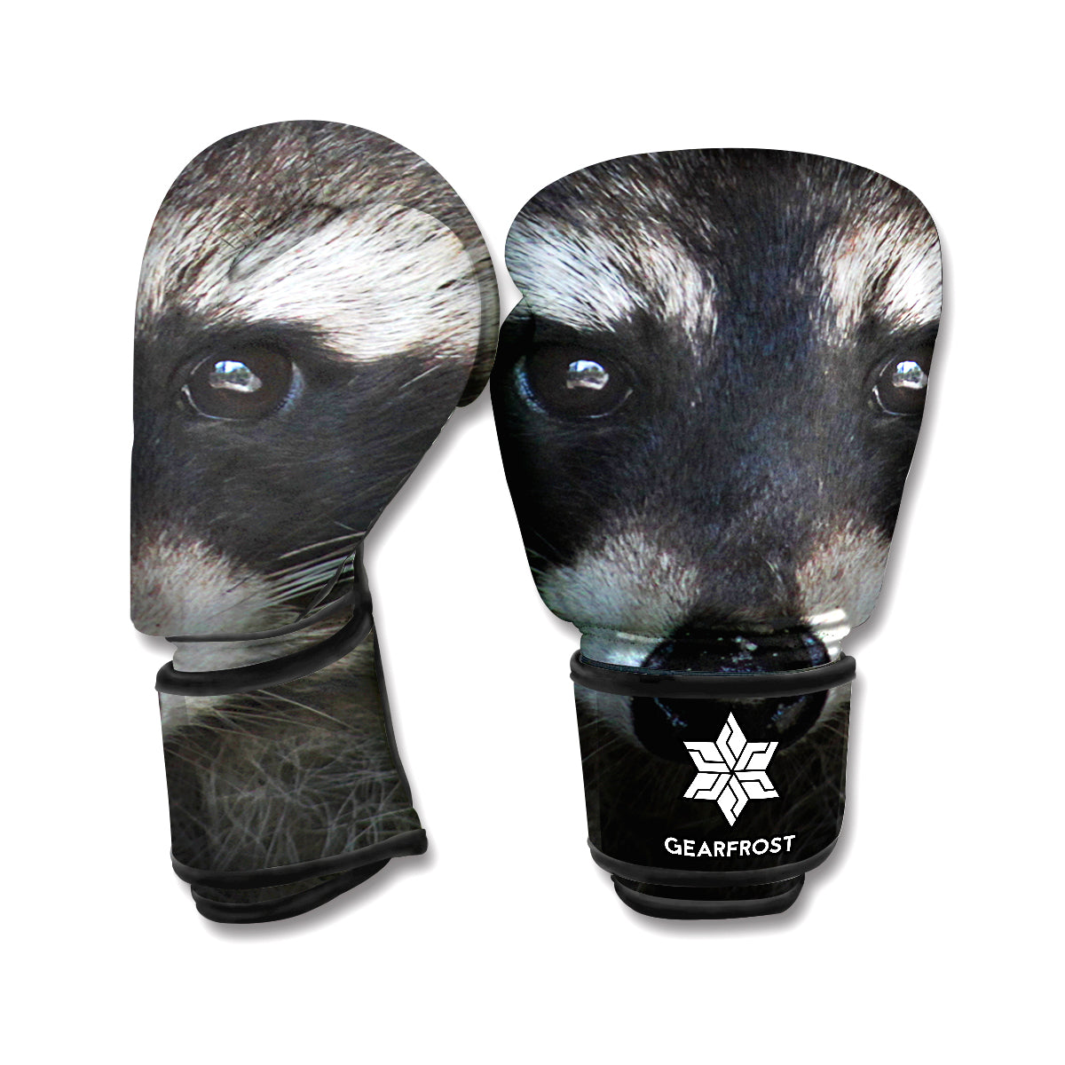 Raccoon Portrait Print Boxing Gloves