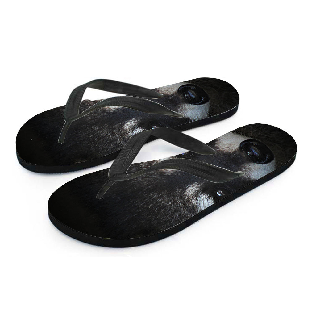 Raccoon Portrait Print Flip Flops