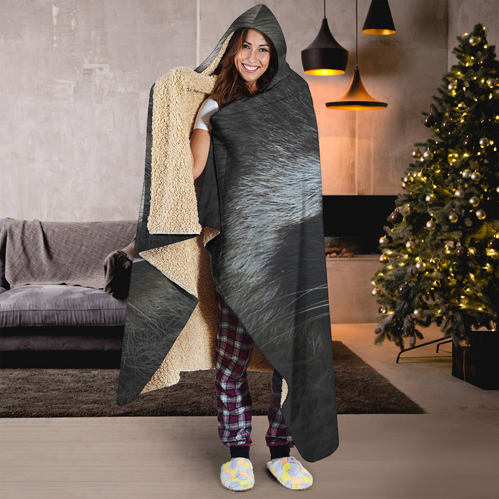 Raccoon Portrait Print Hooded Blanket