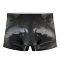Raccoon Portrait Print Men's Boxer Briefs