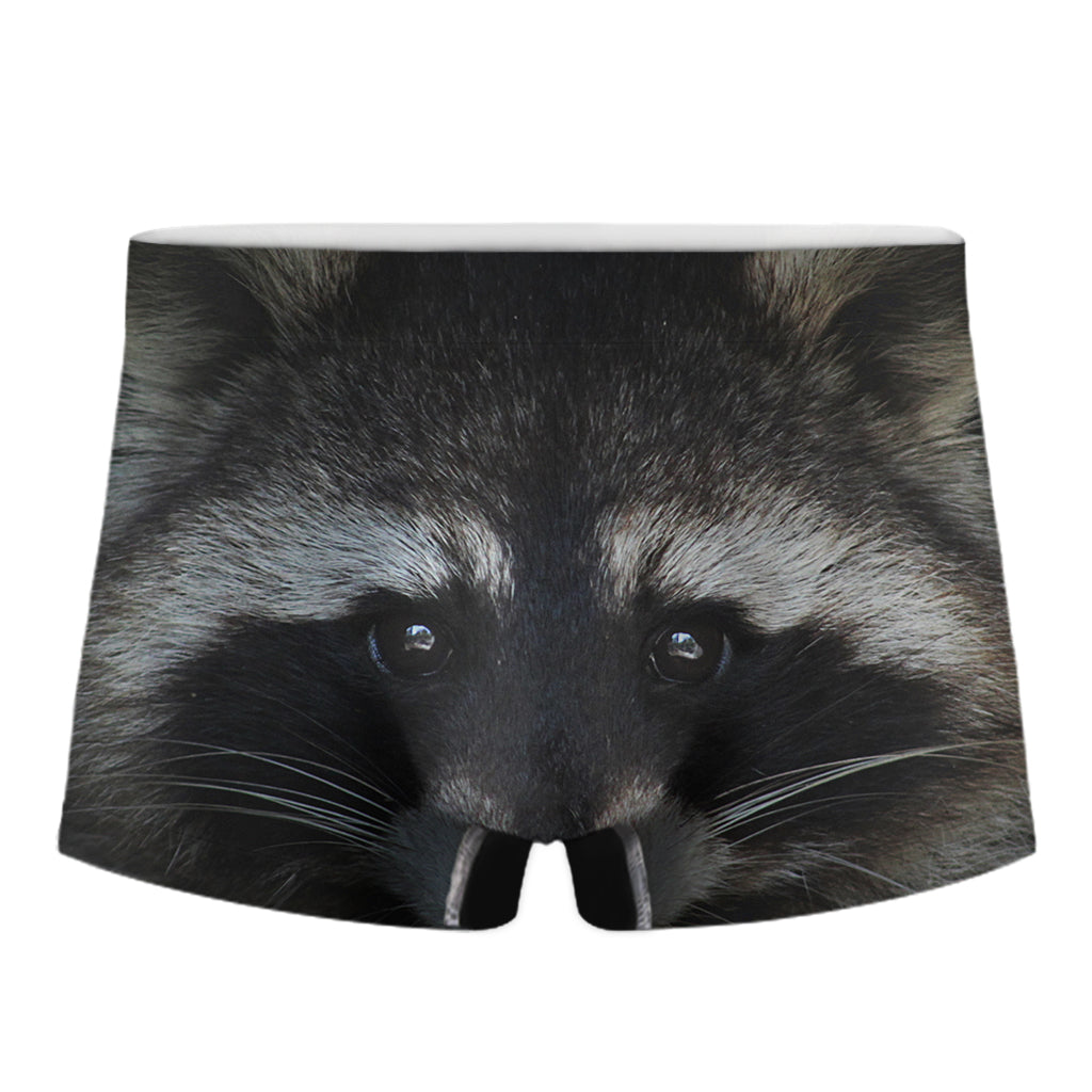 Raccoon Portrait Print Men's Boxer Briefs