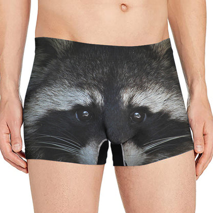 Raccoon Portrait Print Men's Boxer Briefs