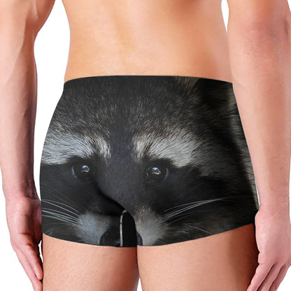 Raccoon Portrait Print Men's Boxer Briefs
