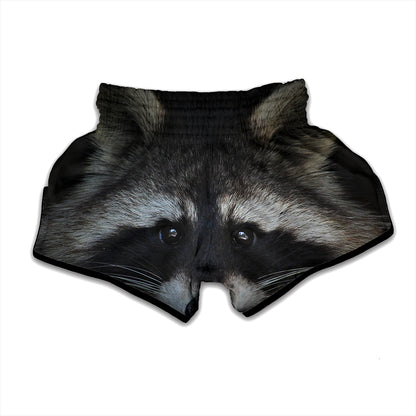 Raccoon Portrait Print Muay Thai Boxing Shorts