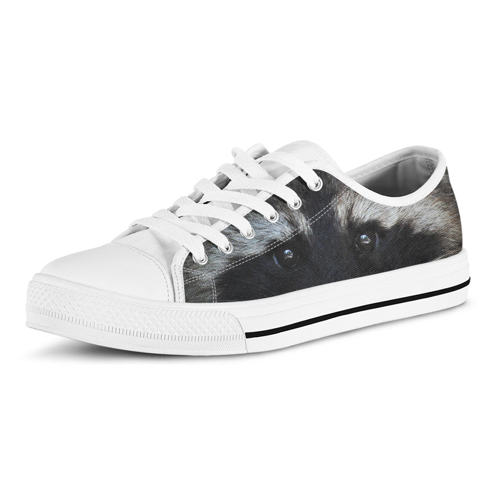 Raccoon Portrait Print White Low Top Shoes