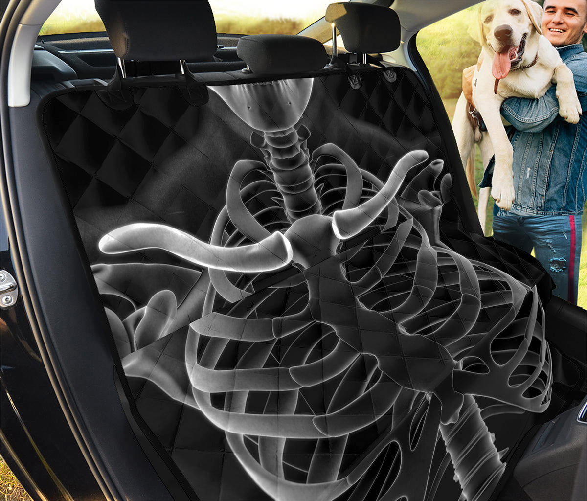 Radiologist X-Ray Film Print Pet Car Back Seat Cover