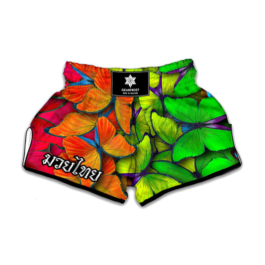 Rainbow Butterfly Pattern Print Muay Thai Boxing Shorts