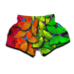 Rainbow Butterfly Pattern Print Muay Thai Boxing Shorts