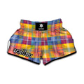 Rainbow Plaid Pattern Print Muay Thai Boxing Shorts