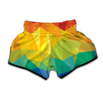 Rainbow Polygonal Geometric Print Muay Thai Boxing Shorts