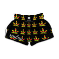 Rasta Flag Pattern Print Muay Thai Boxing Shorts