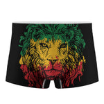 Rasta Lion Print Men's Boxer Briefs