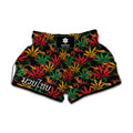 Rasta Marijuana Pattern Print Muay Thai Boxing Shorts