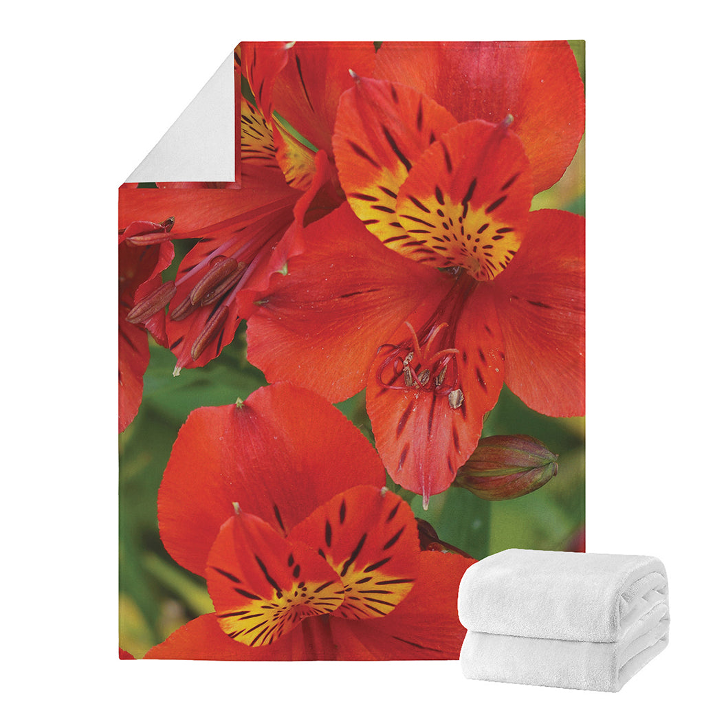 Red Alstroemeria Print Blanket