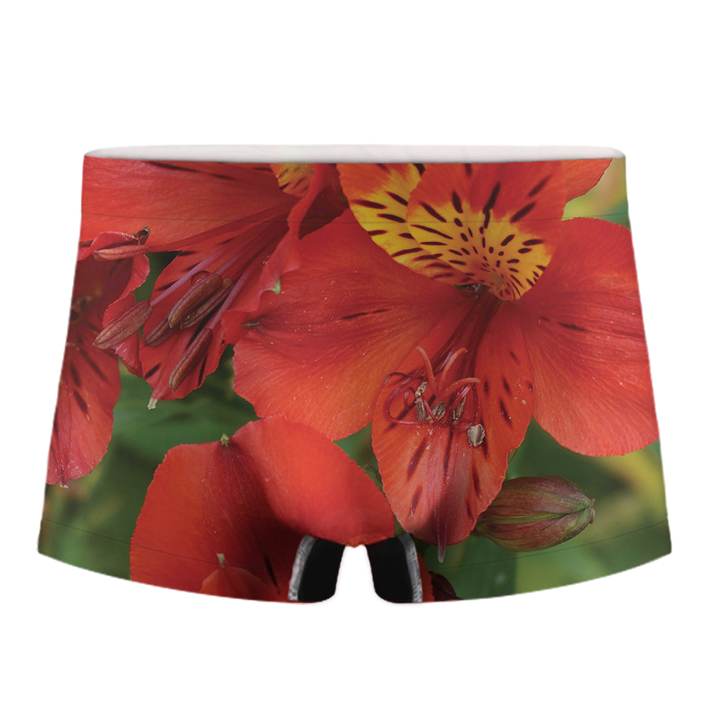 Red Alstroemeria Print Men's Boxer Briefs