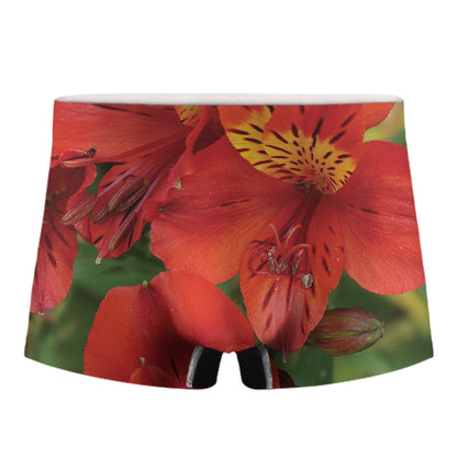 Red Alstroemeria Print Men's Boxer Briefs