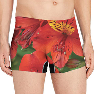 Red Alstroemeria Print Men's Boxer Briefs