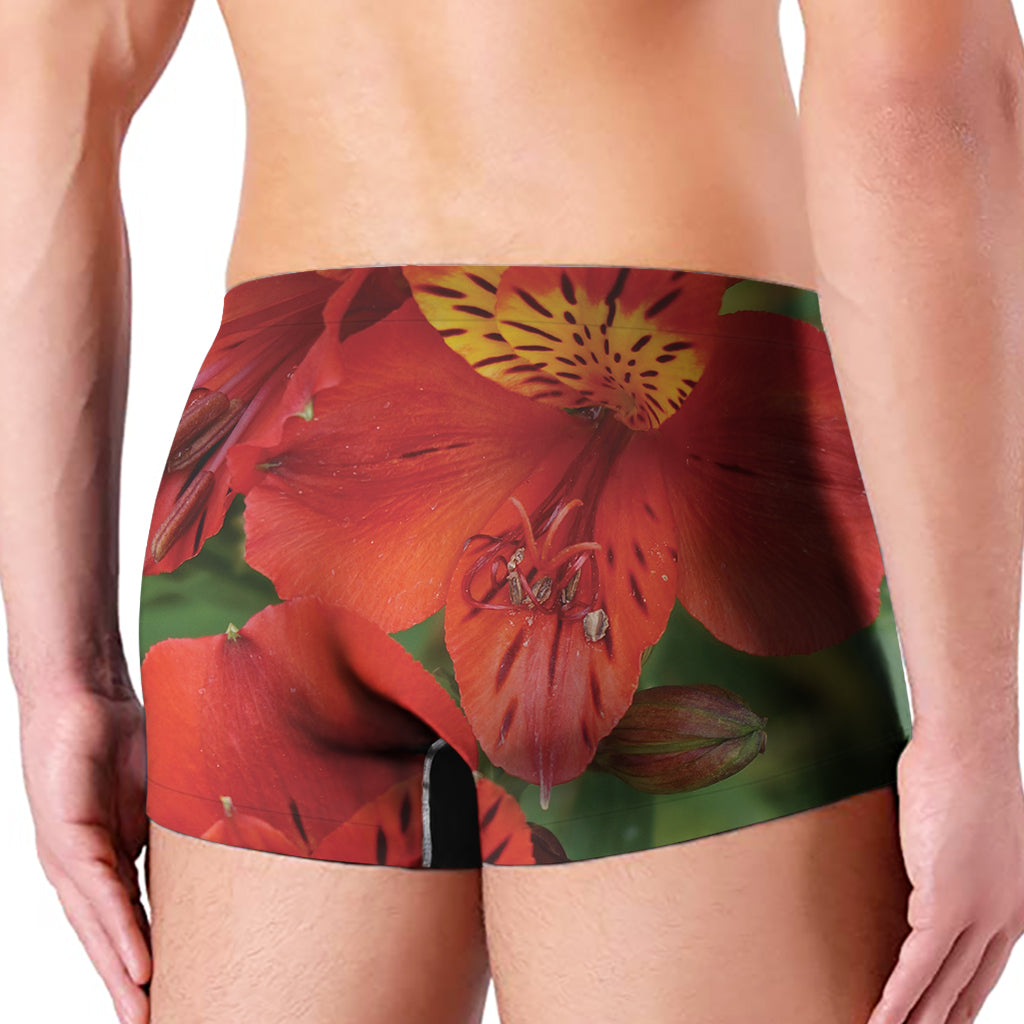 Red Alstroemeria Print Men's Boxer Briefs