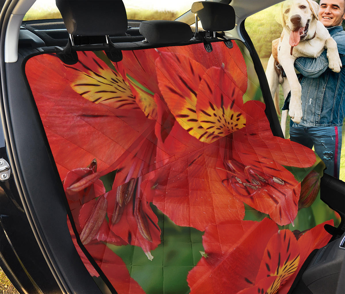 Red Alstroemeria Print Pet Car Back Seat Cover