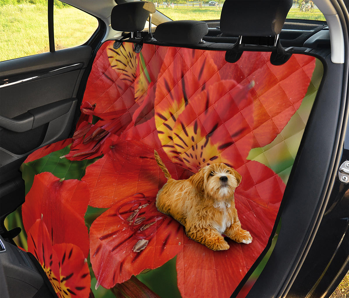 Red Alstroemeria Print Pet Car Back Seat Cover