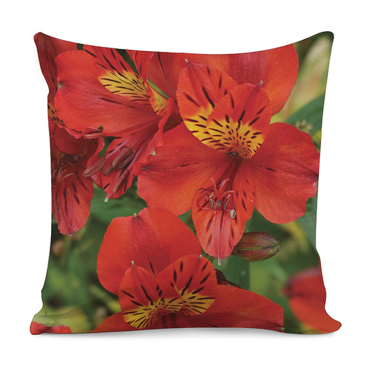 Red Alstroemeria Print Pillow Cover