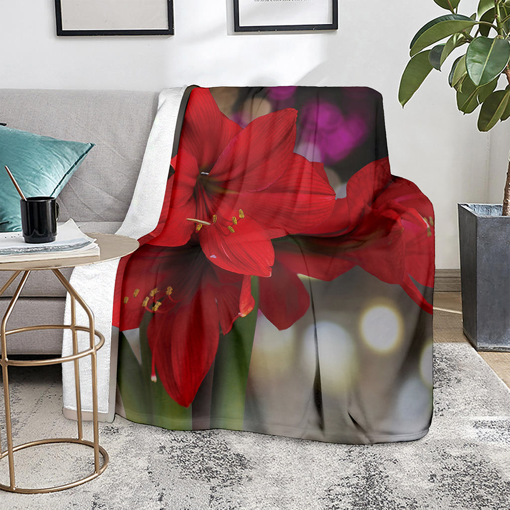 Red Amaryllis Print Blanket