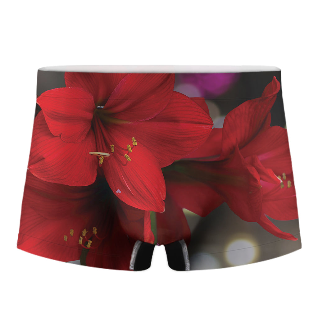 Red Amaryllis Print Men's Boxer Briefs