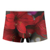 Red Amaryllis Print Men's Boxer Briefs