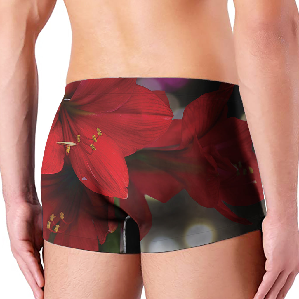 Red Amaryllis Print Men's Boxer Briefs