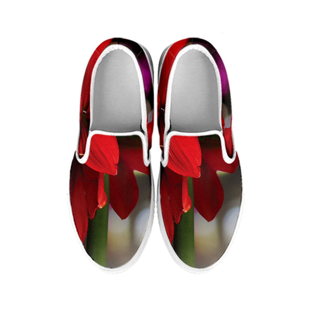 Red Amaryllis Print White Slip On Shoes